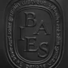 Baies (bessen) – grote kaars Baies (bessen) – grote kaars