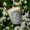 Choisya (oranjebloesem) – klassieke kaars Choisya (oranjebloesem) – klassieke kaars