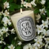 Choisya (oranjebloesem) – klassieke kaars Choisya (oranjebloesem) – klassieke kaars