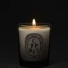 Cypras (cipres) – kleine Kaars Cypras (cipres) – kleine Kaars