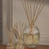 Diffuser voor Wonen – glazen potje – 100 ml Diffuser voor Wonen – glazen potje – 100 ml