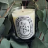Eucalyptus – klassieke kaars Eucalyptus – klassieke kaars