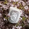 Fleur de cerisier (kersenbloesem) – klassieke kaars Fleur de cerisier (kersenbloesem) – klassieke kaars