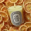 Oranger (sinaasappelboom) – klassieke kaars