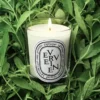Verveine (citroenverbena) – kleine kaars Verveine (citroenverbena) – kleine kaars