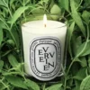 Verveine (citroenverbena) – kleine kaars Verveine (citroenverbena) – kleine kaars